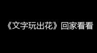 《文字玩出花》回家看看怎么玩