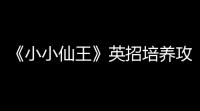 《小小仙王》英招培养攻略