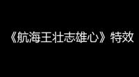 《航海王壮志雄心》特效质量设置方法