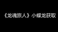 《龙魂旅人》小蝶龙获取方法