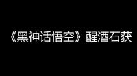 《黑神话悟空》醒酒石获取方法