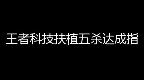 三角洲手游外挂免费版,王者科技扶植五杀达成指南创造个人记录