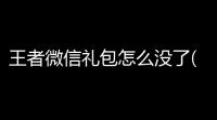 王者微信礼包怎么没了(微信小游戏标枪王者荣耀)