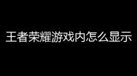 王者荣耀游戏内怎么显示吸血王者荣耀里面怎么设置可以回血,吸血的时候看见数字