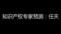 知识产权专家预测
：任天堂诉Pocketpair案或将持续五年，独立工作室有能力应对