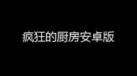 疯狂的厨房安卓版
