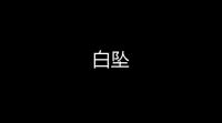 白坠