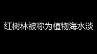 红树林被称为植物海水淡化器主要归功于它的