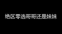 绝区零选哥哥还是妹妹