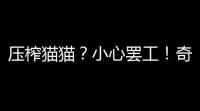 压榨猫猫？小心罢工
！奇蛋生物拉环获取及压力管理全攻略