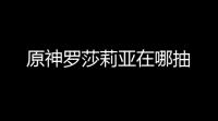 原神罗莎莉亚在哪抽
