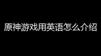 原神游戏用英语怎么介绍(如同原神的游戏英文翻译)