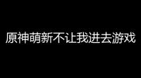 原神萌新不让我进去游戏
？别急，老司机来给你支支招！