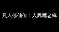 凡人修仙传：人界篇老样子