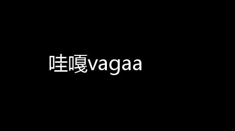 梦幻西游有挂机软件吗,哇嘎vagaa
