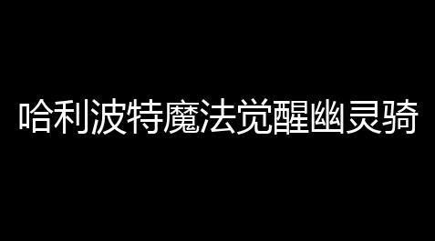 王牌战争脚本辅助器(免费),哈利波特魔法觉醒幽灵骑士团魔咒试炼第三关攻略