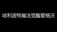 哈利波特魔法觉醒霍格沃茨的象征什么样