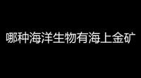 哪种海洋生物有海上金矿之称