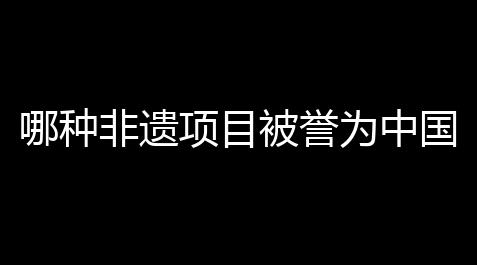 天龙八部外挂免费版,哪种非遗项目被誉为中国梆子戏鼻祖