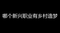 哪个新兴职业有乡村造梦师之称
