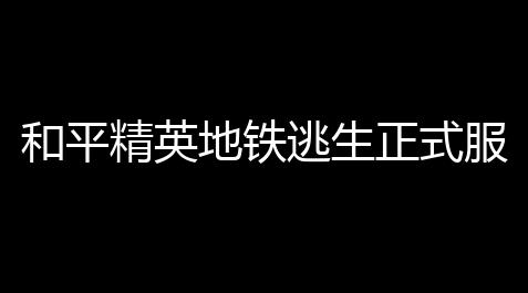 自瞄透视辅助器,和平精英地铁逃生正式服