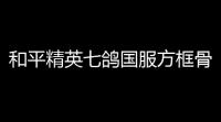 和平精英七鸽国服方框骨骼单透辅助器