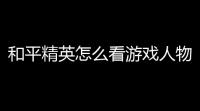 和平精英怎么看游戏人物,和平精英怎么找人