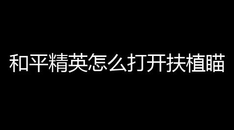 卖挂的正规交易平台,和平精英怎么打开扶植瞄准「和平精英游戏自带扶植」