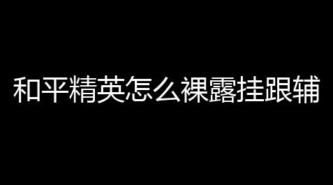 apex内部辅助,和平精英怎么裸露挂跟辅凹凸助吗？怎么才能下载那种厉害的挂踢挂