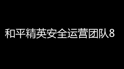 暖雪免费修改器,和平精英安全运营团队8倍镜：制图绿色公平游戏环境，严惩外挂行为