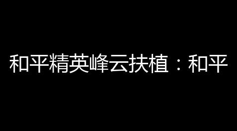 pubg mobile,和平精英峰云扶植：和平安卓端修复版多功能神器 ，稳定捐献战场制胜