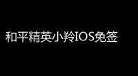 和平精英小羚IOS免签直装版辅助神器