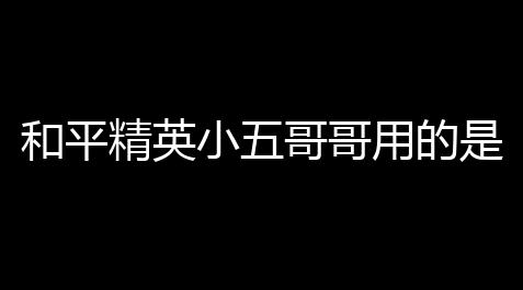 枪林弹雨手机版下载,和平精英小五哥哥用的是哪套皮肤 「游戏主播和平精英的枪效」