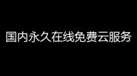 国内永久在线免费云服务器	：打造你的数字基石
