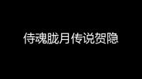 侍魂胧月传说贺隐