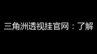 三角洲透视挂官网：了解你的安全，掌控你的作战