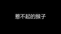 惹不起的猴子