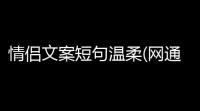 情侣文案短句温柔(网通传奇游戏情侣文案短句)