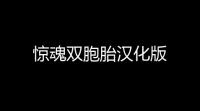 惊魂双胞胎汉化版