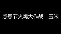 感恩节火鸡大作战：玉米速刷与高效使用全攻略