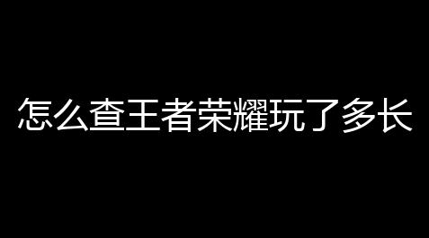 香肠派对游戏黑科技辅助器下载,怎么查王者荣耀玩了多长时间(玩王者荣耀游戏时间可以查)