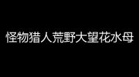 怪物猎人荒野大望花水母捕捉全攻略：稀有浮空水母位置详解