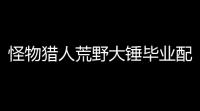 怪物猎人荒野大锤毕业配装攻略 无暴击流VS满会心流详解