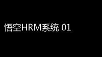 悟空HRM系统 01 开源版