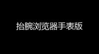 抬腕浏览器手表版