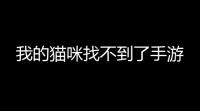 我的猫咪找不到了手游