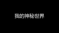 我的神秘世界