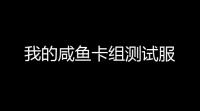 我的咸鱼卡组测试服