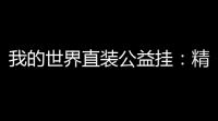 我的世界直装公益挂 ：精准选择	，助力公益，点亮希望
