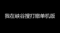 我在峡谷搜打撤单机版
